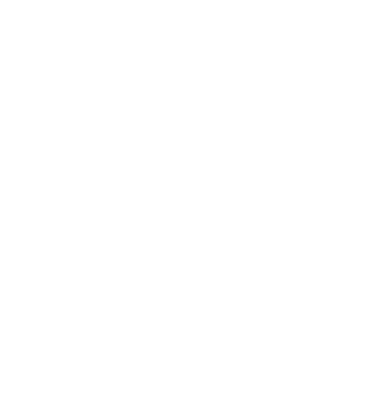 IFEM